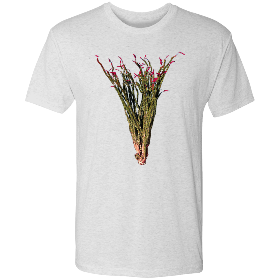 The Ocotillo in Color - Premium Triblend T-Shirt